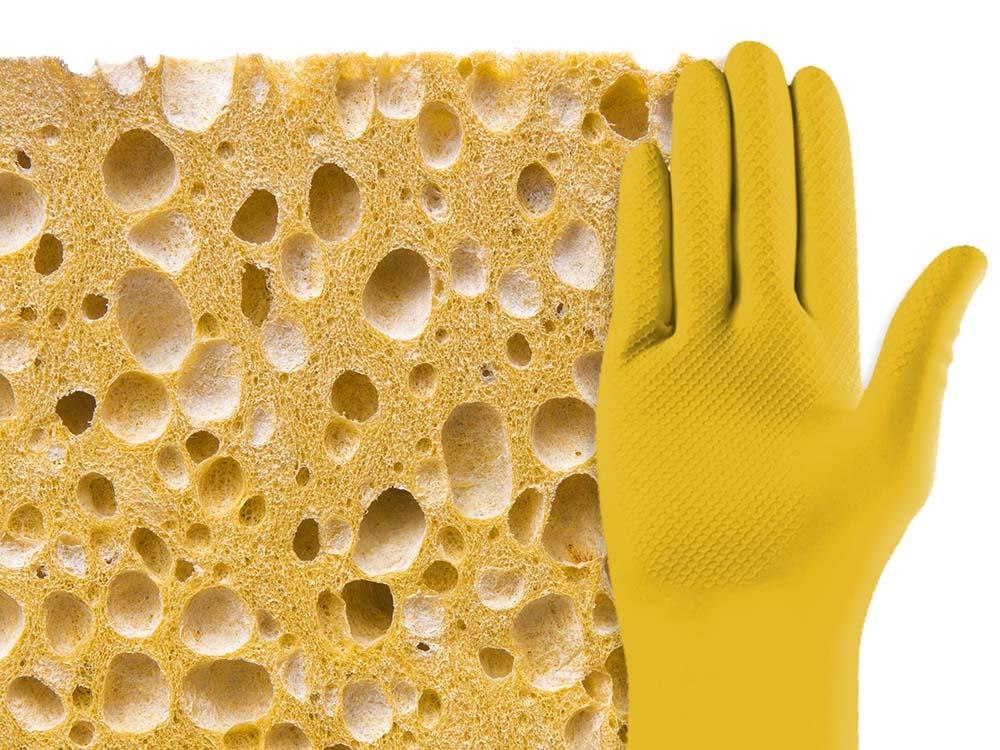 Sponges & Gloves